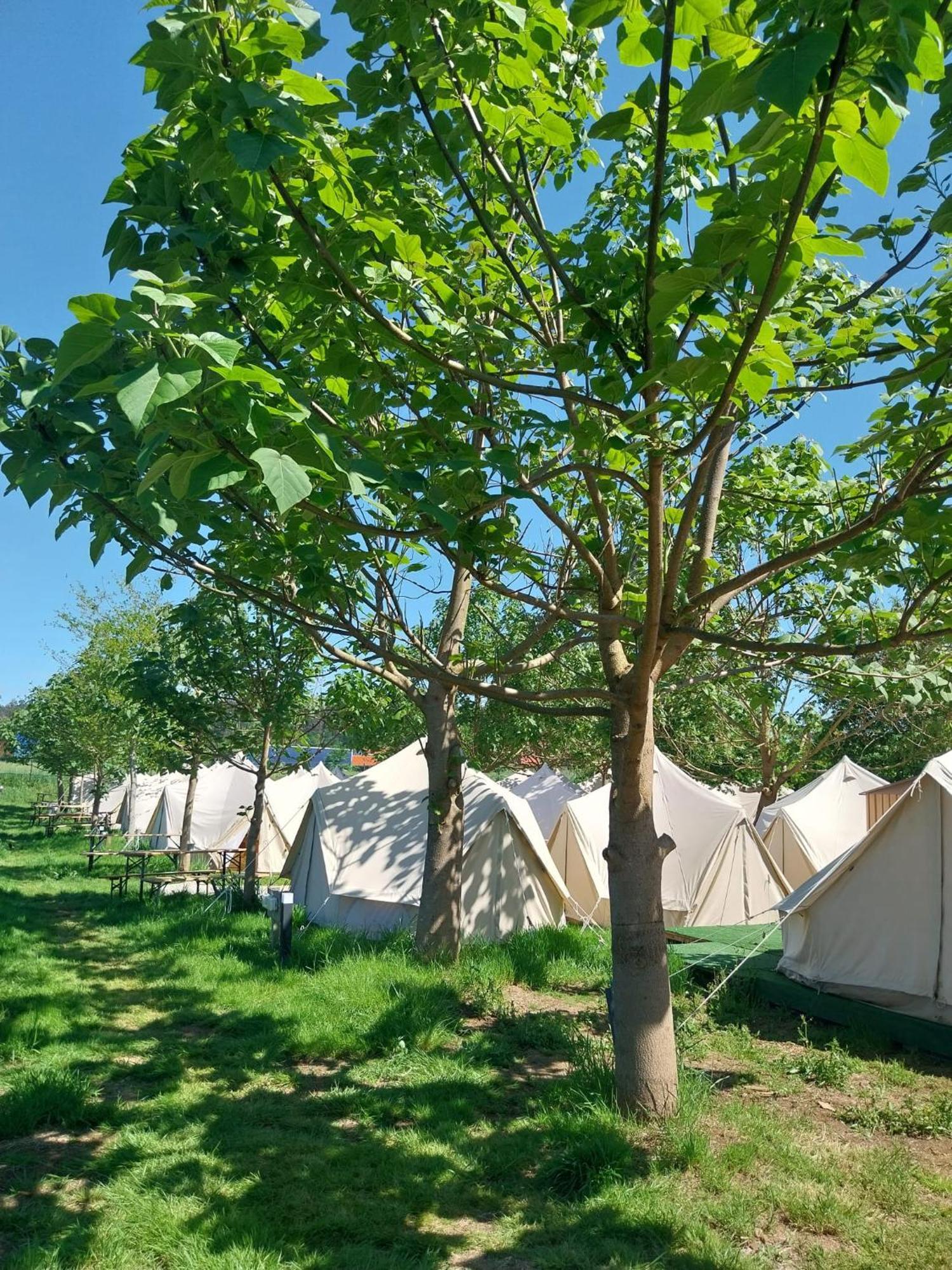 Luxury tent Kampaoh